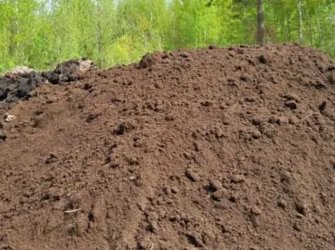 İstanbul Humuslu Toprak